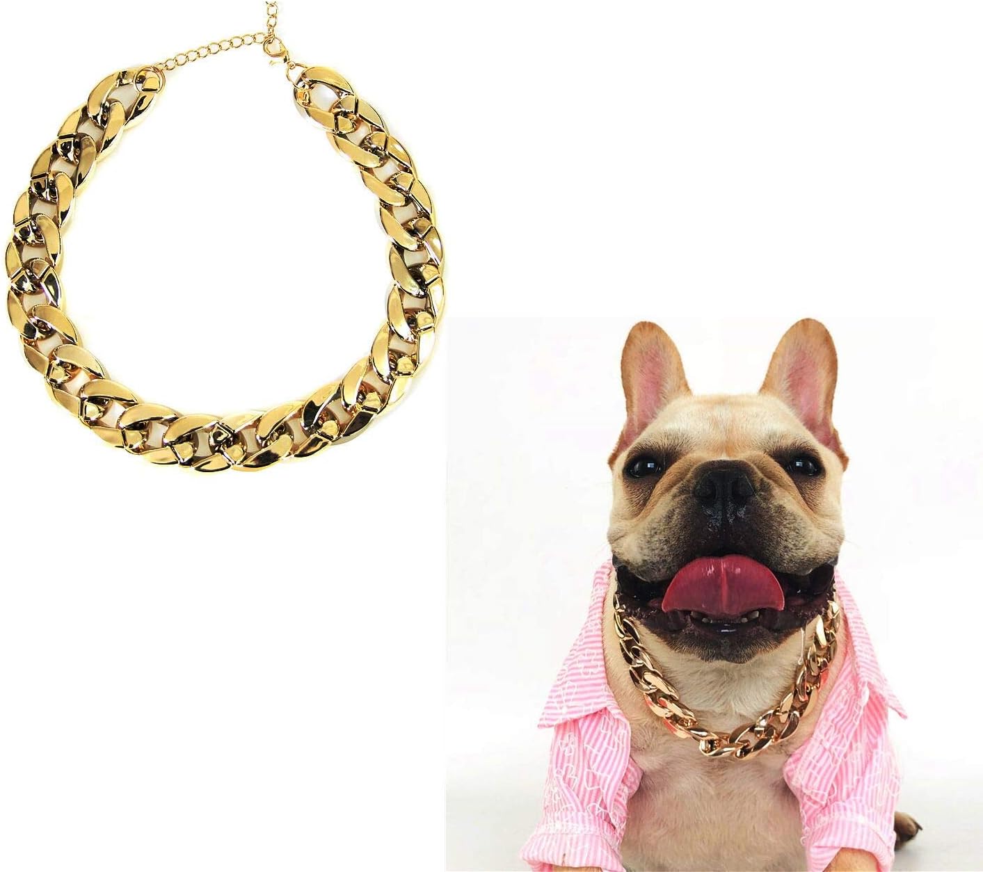 small dog gold chain