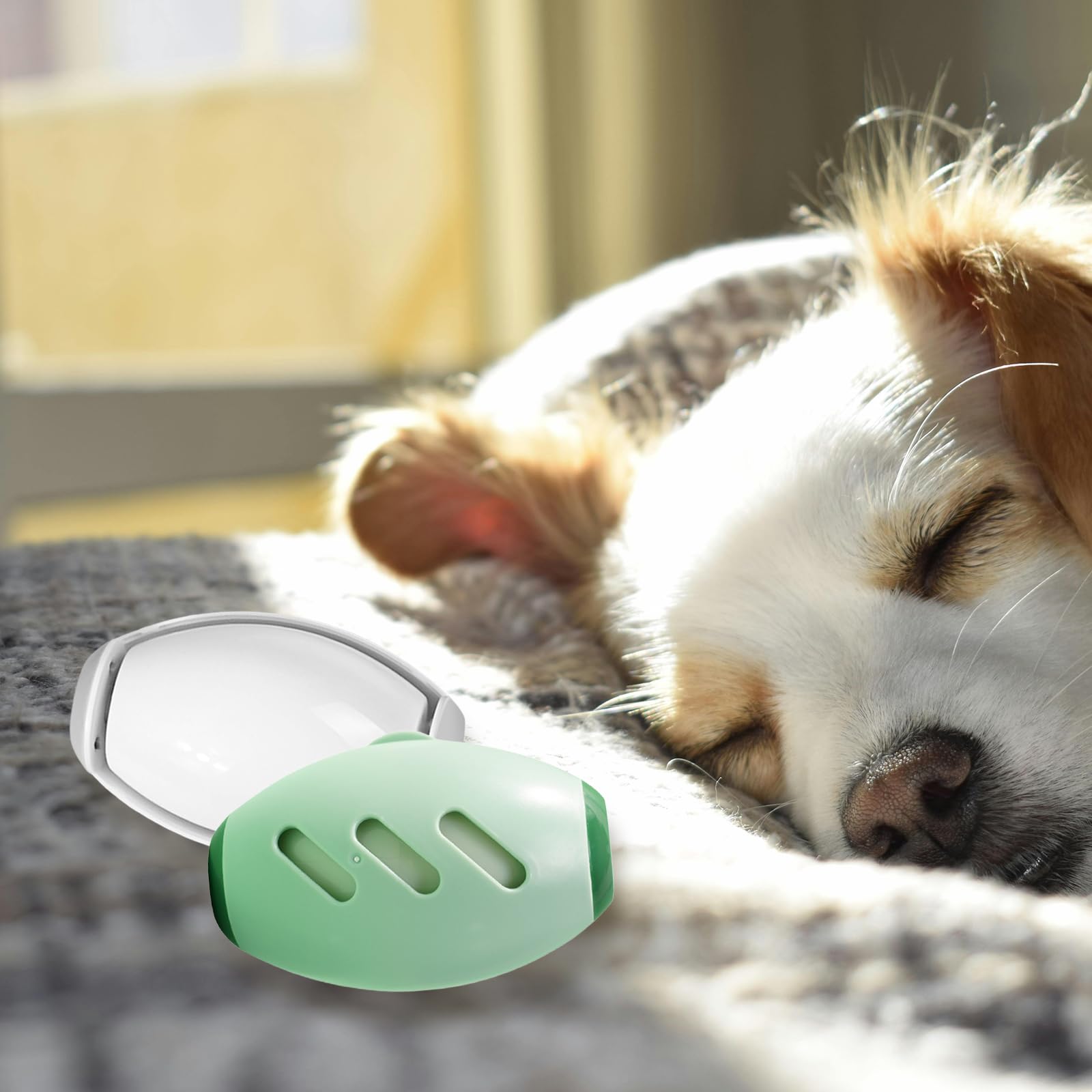 Paquete de 2 bolas de gel lavables y reutilizables para pelusas sobre la marcha, mini rodillo de pelusa portátil de viaje, herramienta de eliminación de pelo de perros, mascotas, gatos, para