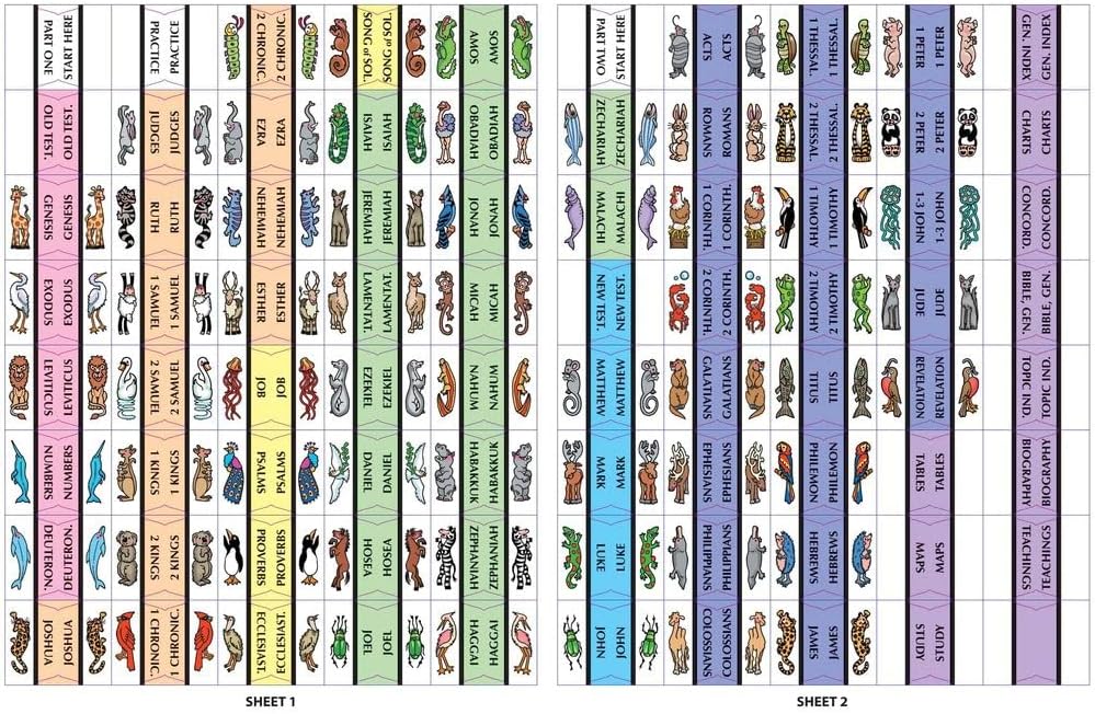Tabbies 20 Pack with Display Rainbow Noah's Ark Bible Indexing Tabs, Old & New Testaments Plus Catholic Books, 80 Multi-Colored Tabs (58349)