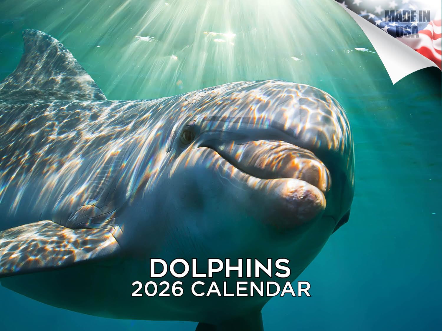 2025 2026 Dolphins Calendar - Cute Animal Sealife Monthly Wall Calendar - 12" x 18" Open - Thick No-Bleed Paper - Giftable - Academic Teacher's Planner Calendar Organizing & Planning - Made in USA โ image 1