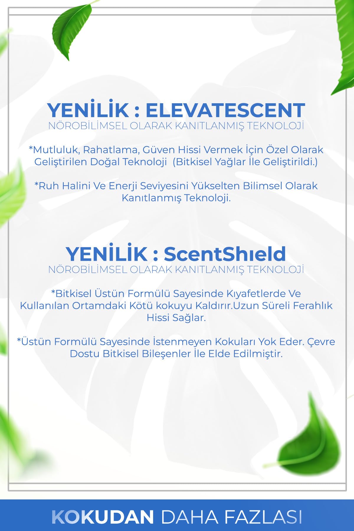 AURAN Okaliptus Esansiyel Uçucu Koku Yağı Difüzör Esansı Buhurdanlık Yağı Aromaterapi Yağı 10ml