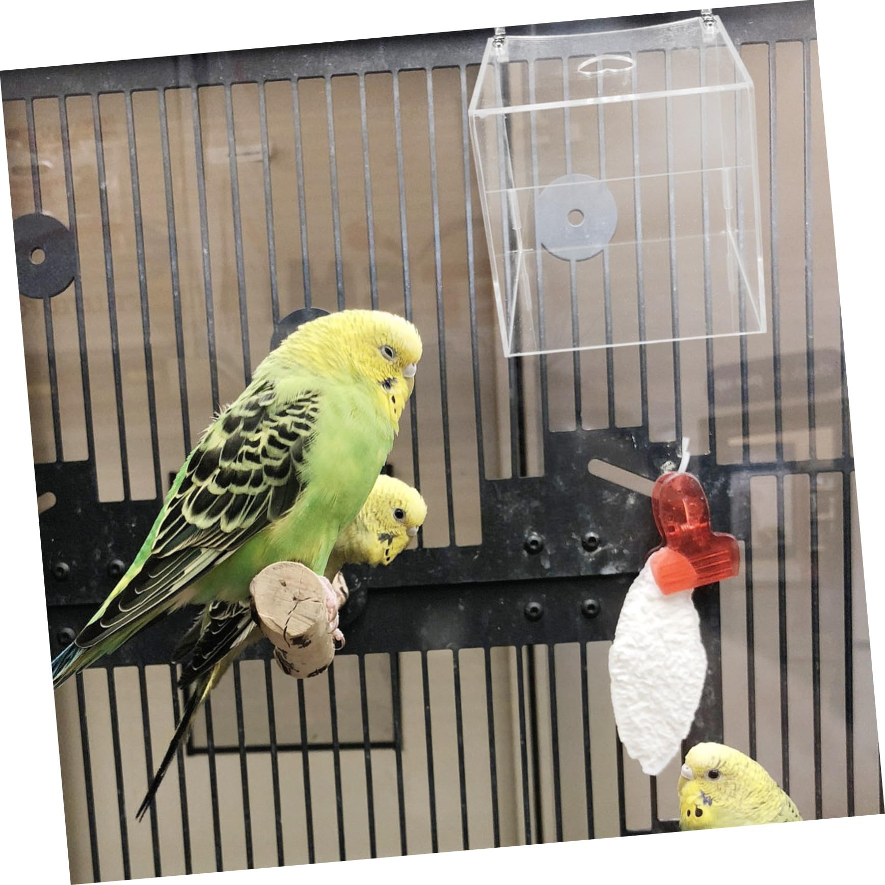 Transparentes Vogelbad Für Papageien Multifunktionale Badewanne Und Futterbox Für Wellensittiche Mit Rutschfestem Design Und Langlebigem Material Für Vogelkäfige