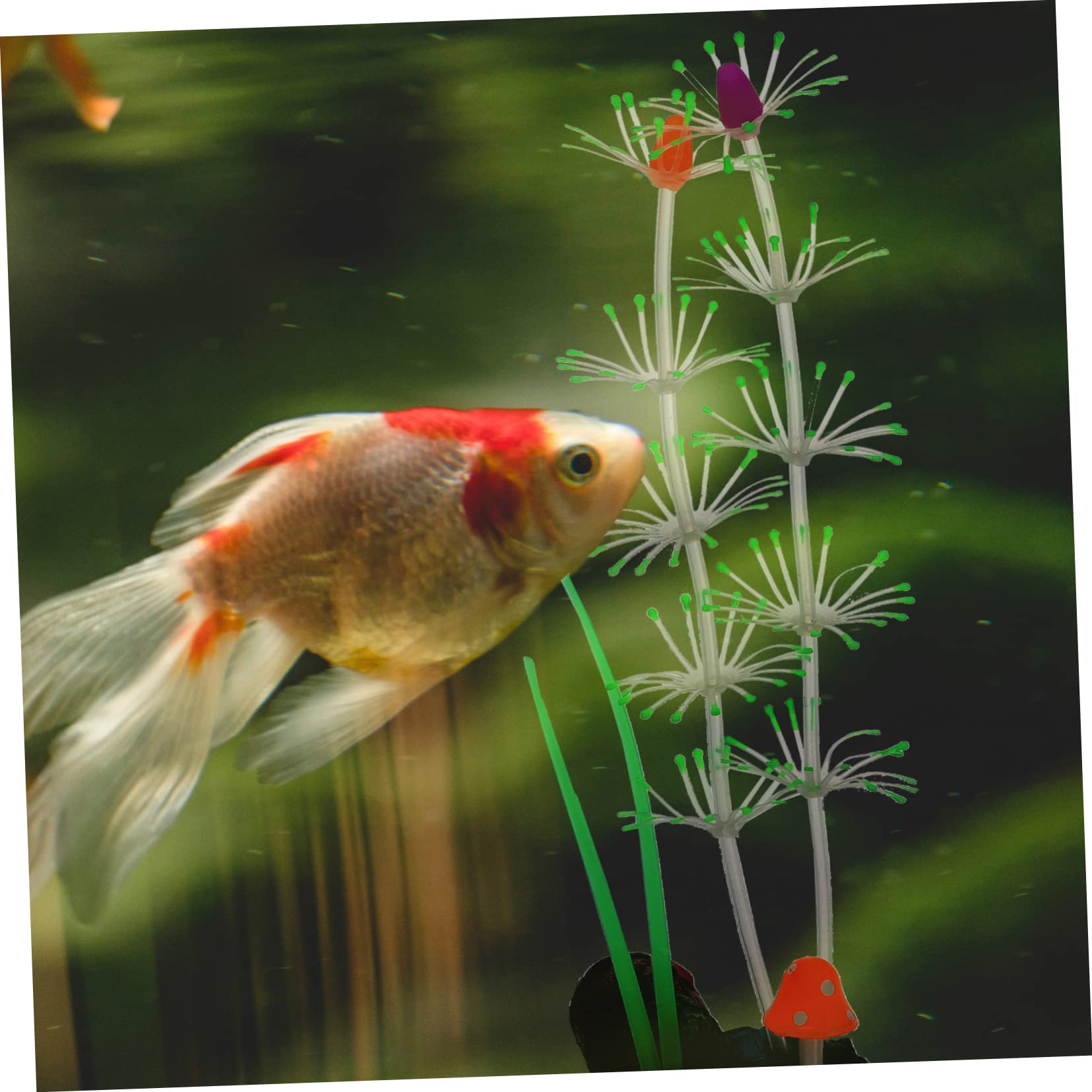 FRCOLOR 3stücke Aquarienpflanze Aus Lebensechte Künstliche Wasserpflanze Für Fischbecken-Dekoration Vivid Fake Plant Für Aquarien Und Fischliebhaber Sichere Und Sanfte Gestaltung Für