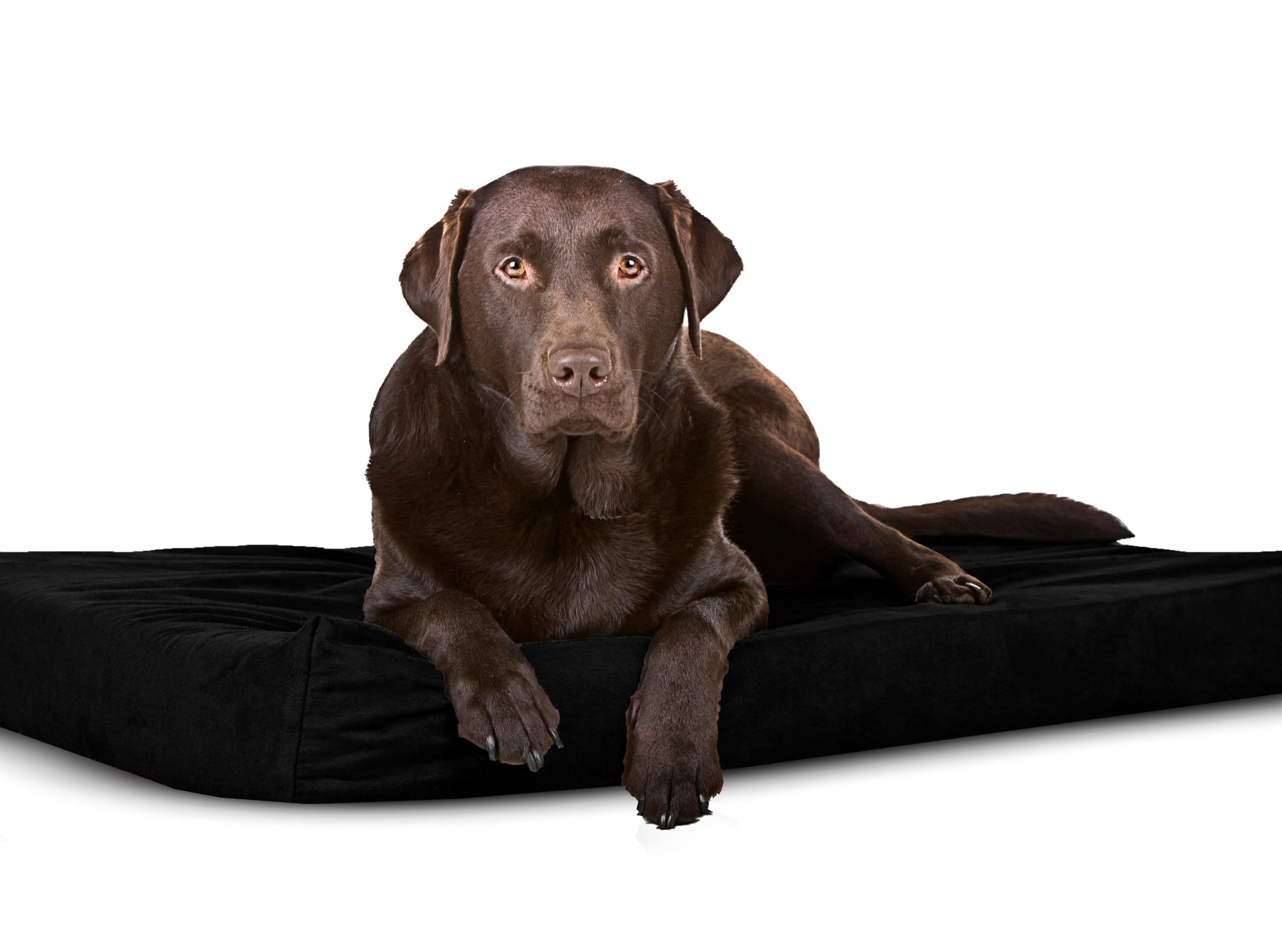 Sapphire Collection Waterproof Bed Cushion Pet Bed and Mattress Dog Cage Mat Pet Dog Cat Bed Pad with Washable & Removable Zipped Cover (Small (77 x 52 x 5cm), Black)