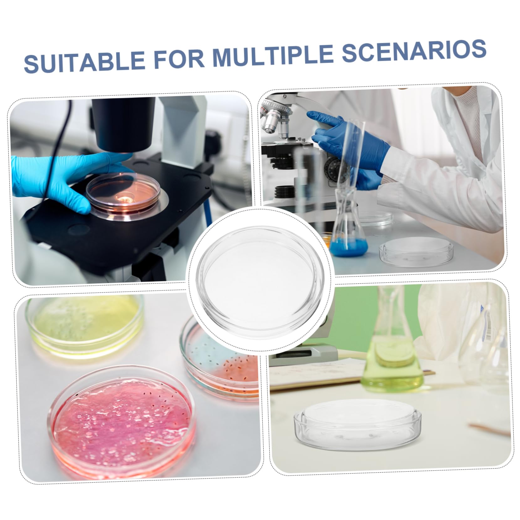 SOLUSTRE 15piezas Placas De De Transparentes Para De Dishes Redondos Resistentes Roturas Herramienta Para Experimentos Científicos y Docencia