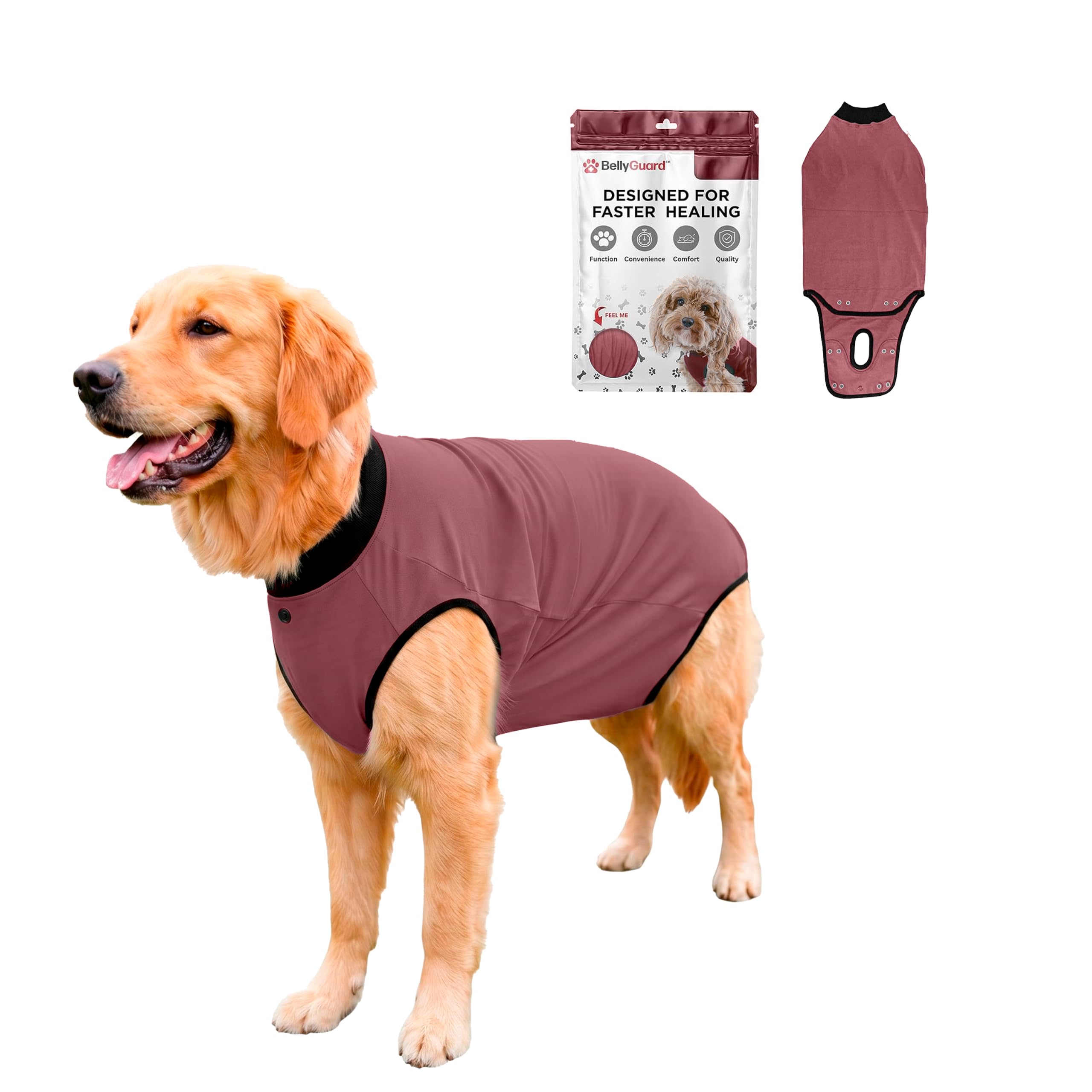 BellyGuard Dog Surgery Recovery Suit, Male Female After Spay Neuter Onesie