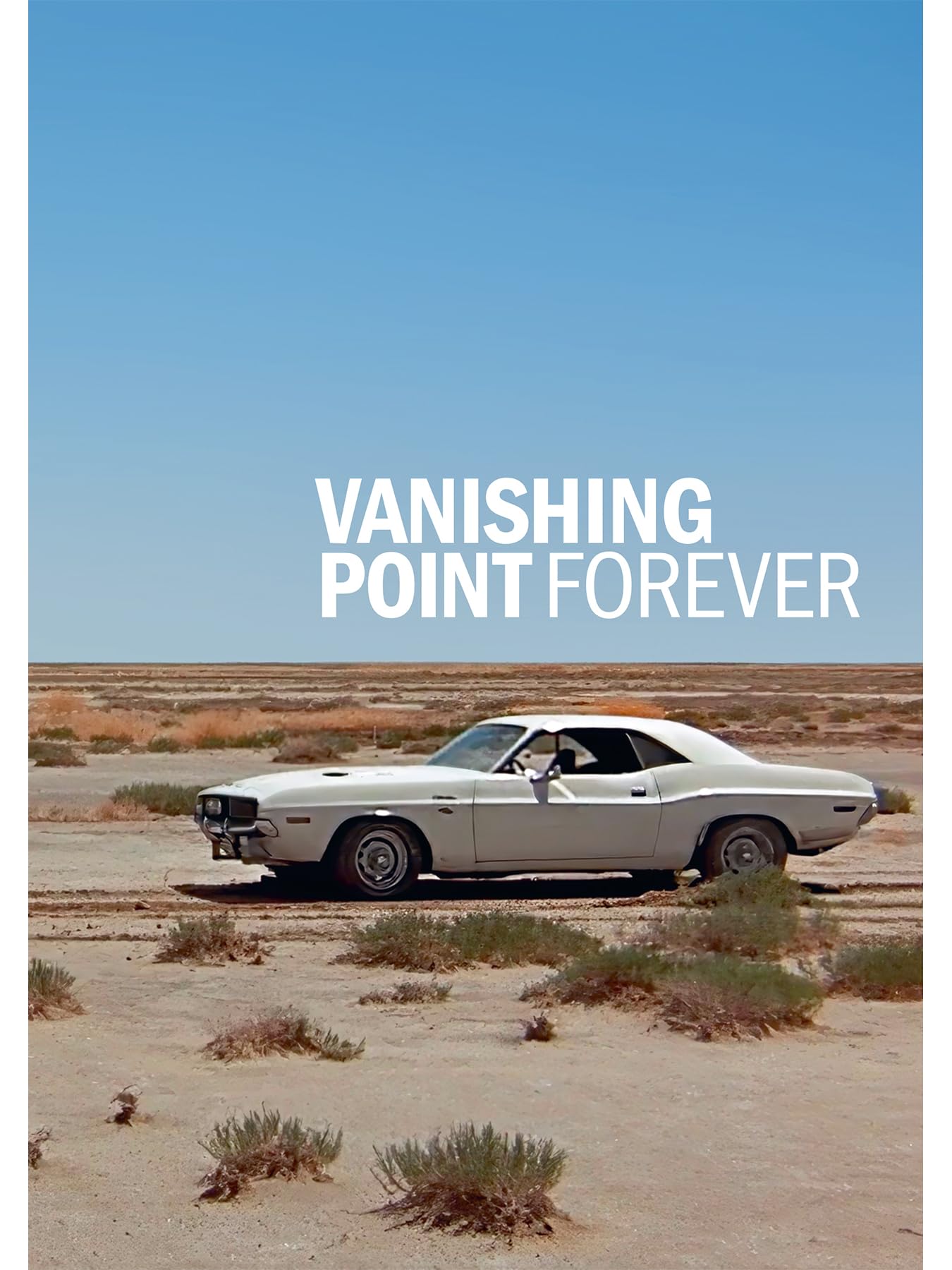 Vanishing Point Forever by Robert M. Rubin