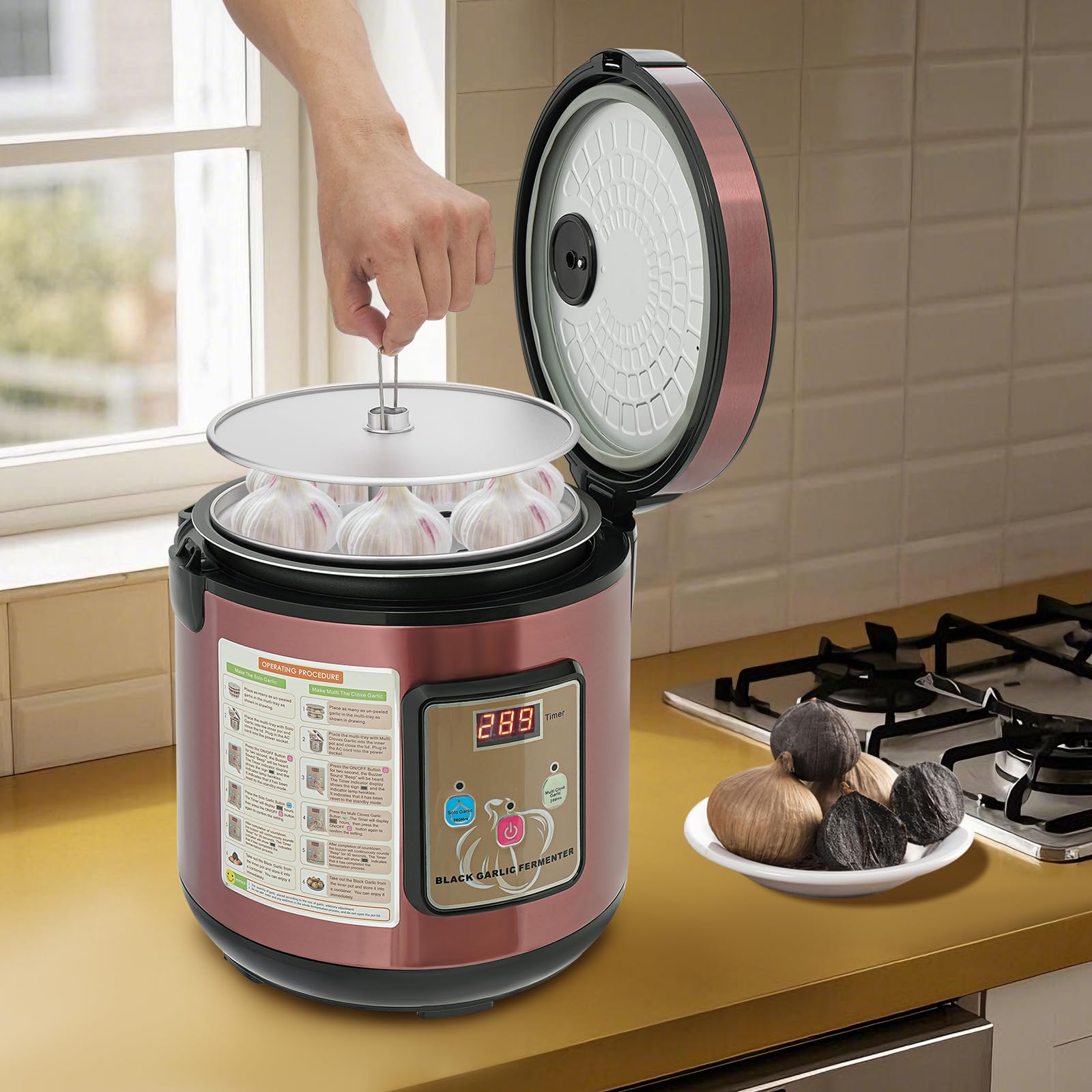 Automatischer Knoblauchfermenter Schwarzer Knoblauch Professioneller Fermenter 5L für Joghurt Natto und Kimchi mit intelligentem Temperaturprogramm 50-85°C
