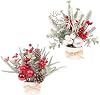 JIALEIXI 2PCS Small Christmas Tree,11 Artificial Little Potted Mini Tabletop Tree Christmas Decorations, for Wedding Holiday Indoor Xmas Party Decor (Red/Green/White).