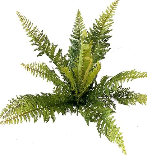 Arbusto de helecho artificial de Boston, helechos persas falsos, hojas verdes, planta grande realista de plástico para interiores y exteriores, disponible en Yaxa Colombia