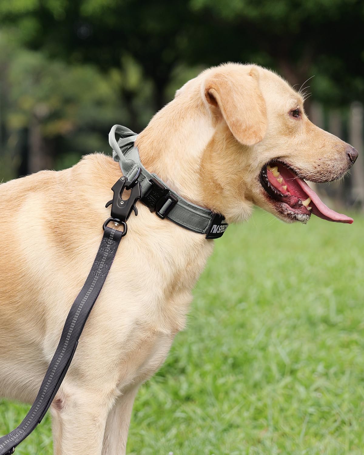 Joytale Tactical Dog Collar(15"-18") and Dog Leash Set, Adjustable Strong Dog Collar with Handle and Shock Absorbing Bungee Dog Leash for Medium Dogs(Gray,M)