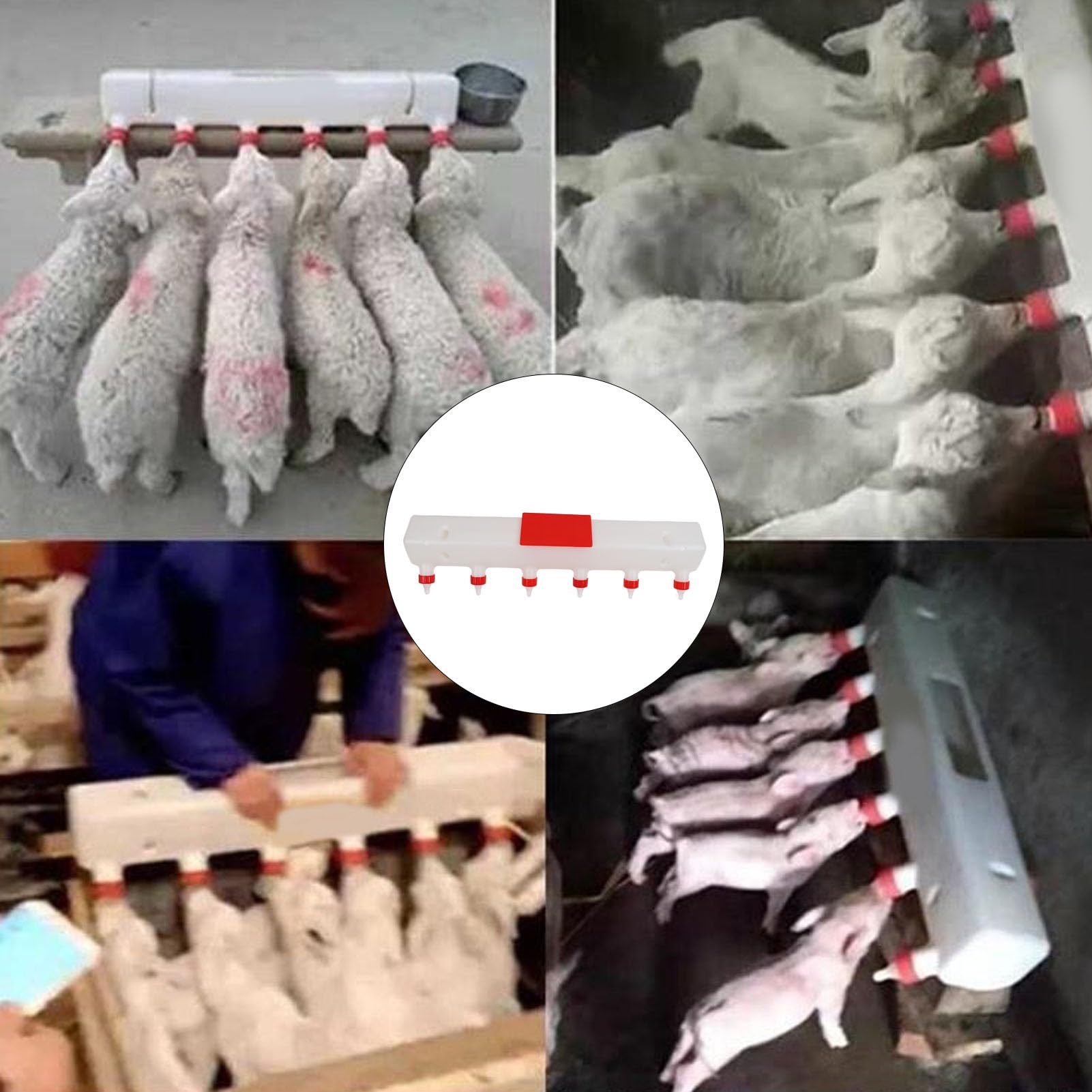 Juego de Tetinas y Biberones para Cabra, Biberones para Cabra de 9 litros para Alimentar Cabras con 6 Tetinas de Silicona, Biberón Inclinado a 45 Grados para Terneros, Ovejas