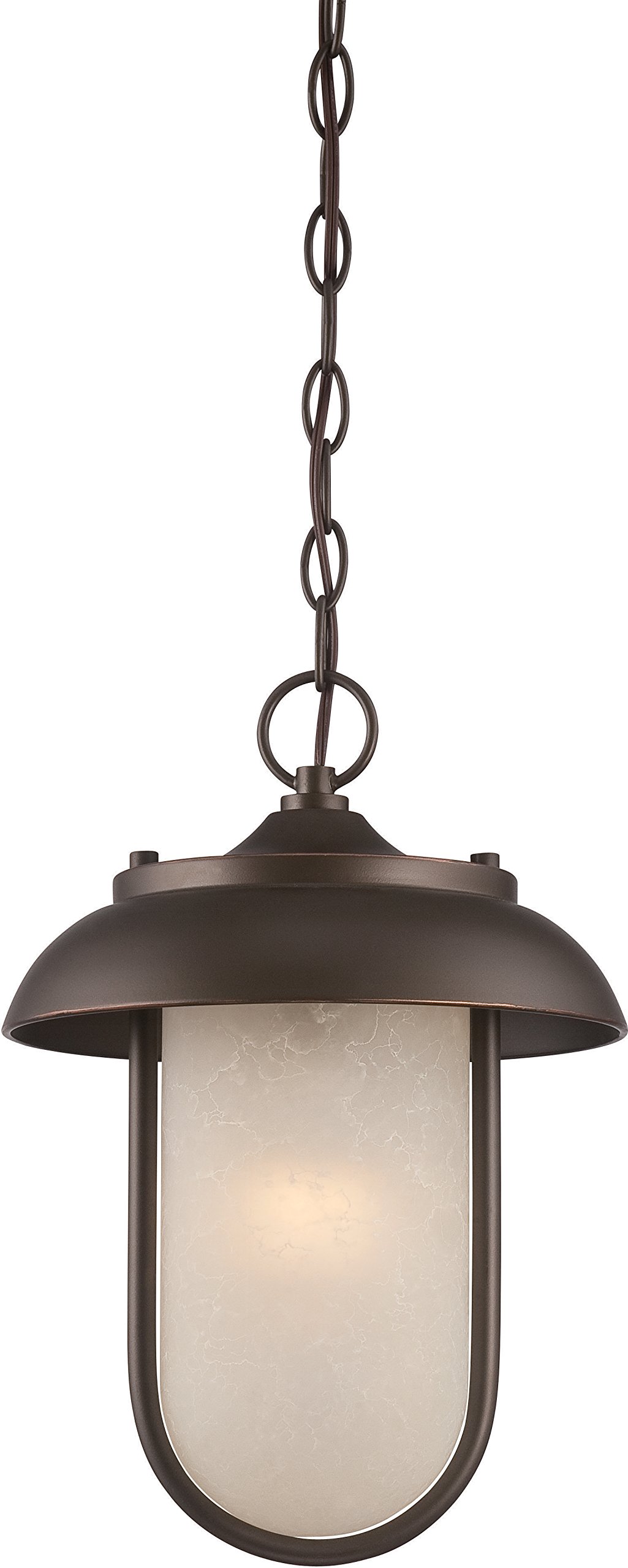 Nuvo Lighting 62/675 Transitional One Light Hanging Lantern from Tulsa Collection in Bronze/Dark Finish