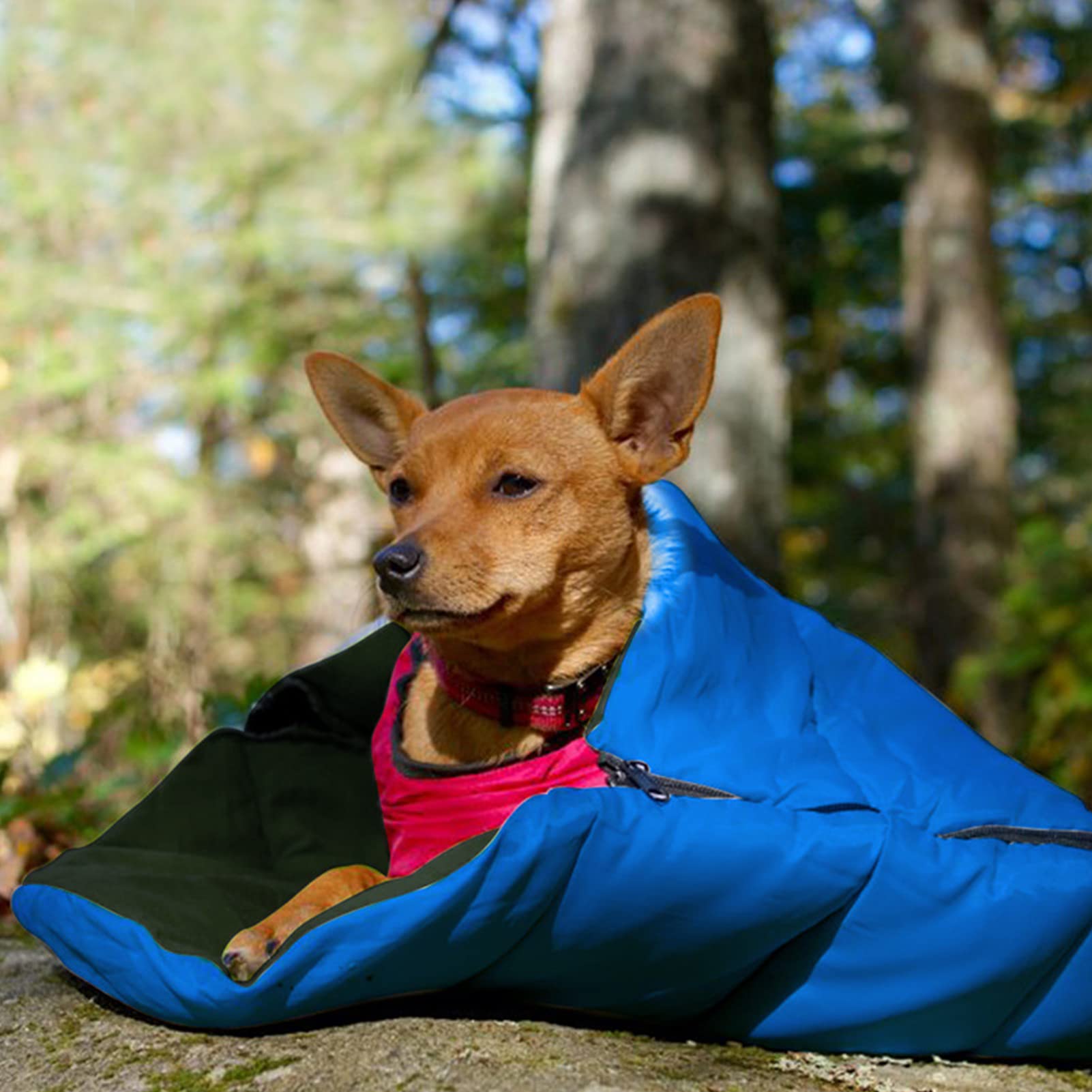 Sac de couchage pour animal chaud étanche et drap de camping pliable transportable
