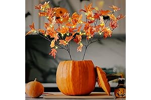 USB Plug-in and Battery Powered Lighted Branches with Timer