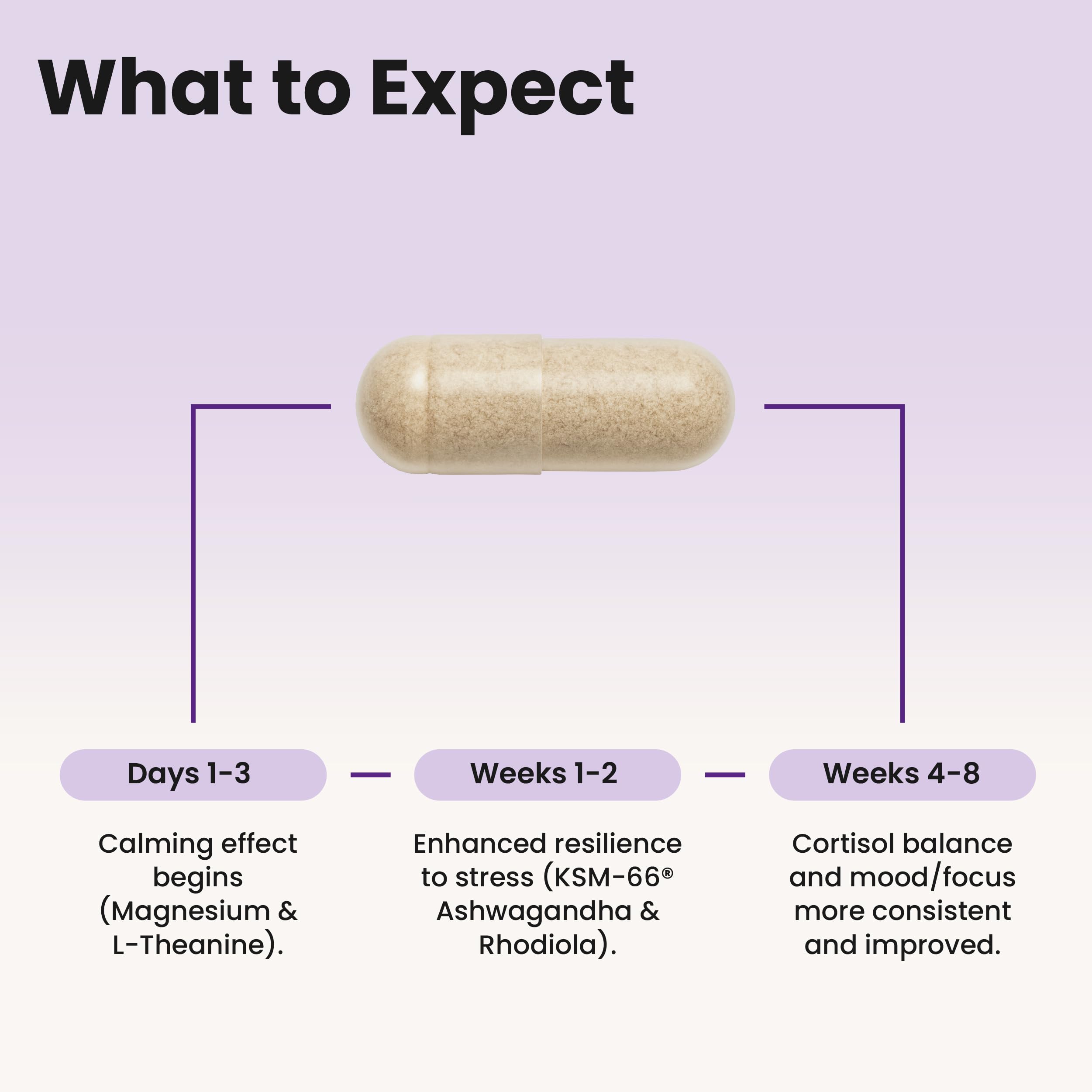 WellPath Cortisol Supplements for Women - Stress Support Complex, 60 Ct — Amazon image 5
