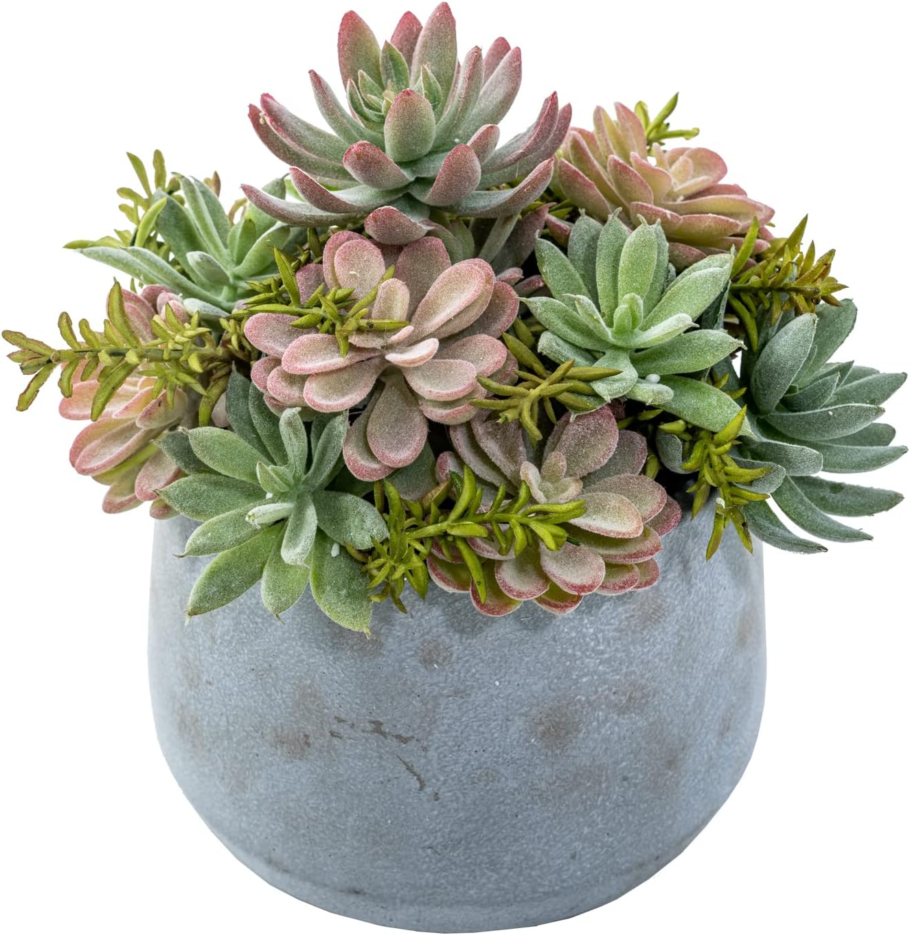 Housenior Paquete De 24 Mini Plantas Suculentas Artificiales | Cuotas Sin Interés