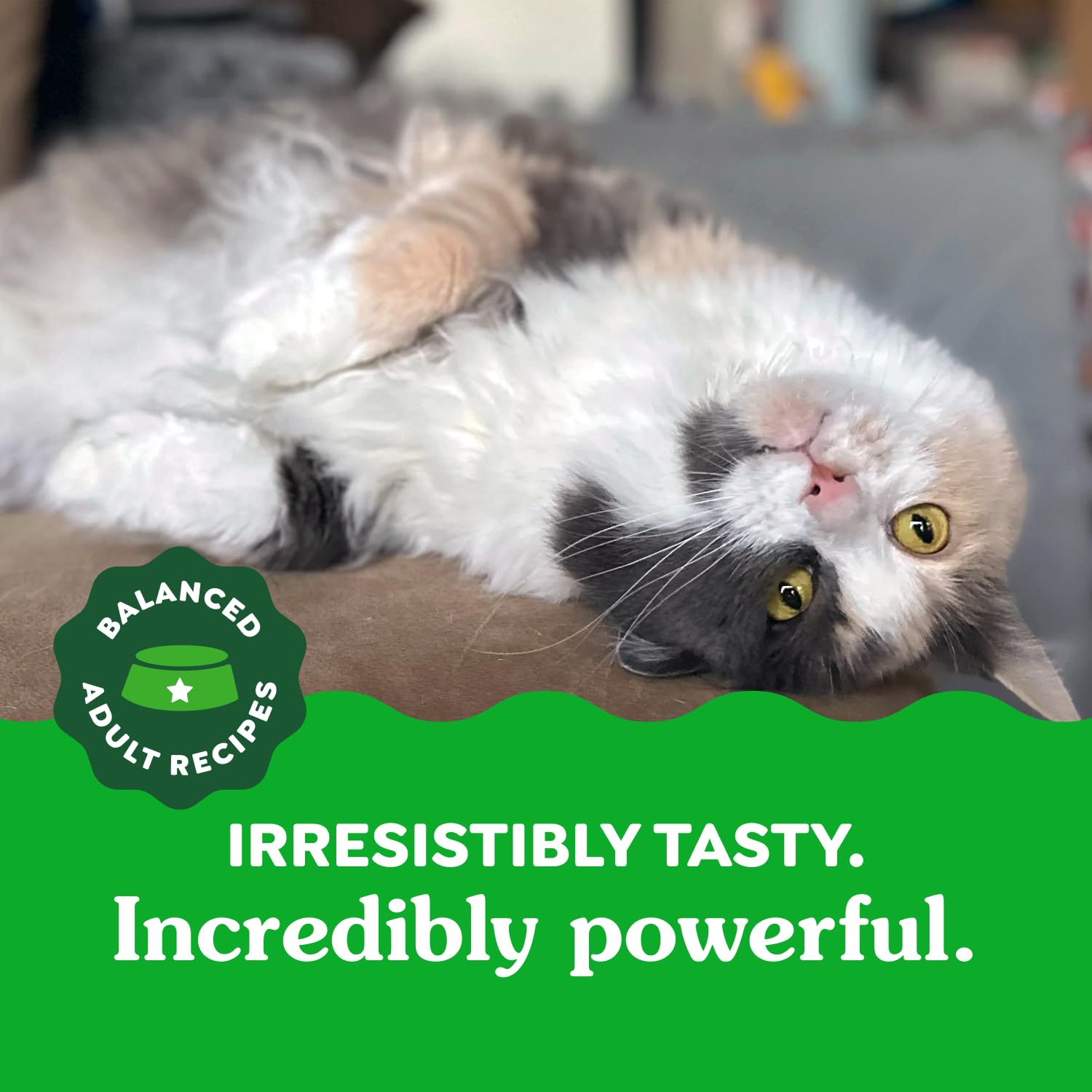 GREENIES Feline Cat Treats Natural Dental Care, Oven Roasted Chicken Flavour, 2.1oz. Pouch 60 g (Pack of 1)