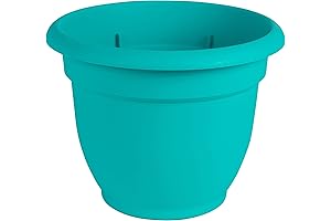 Bloem Ariana Self Watering Planter, 6-Inch