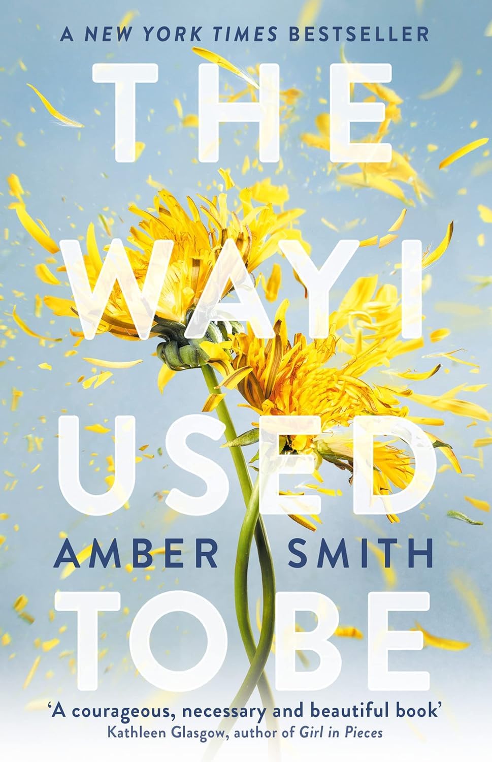 The Way I Used to Be Series 2 Books Collection Set By Amber Smith (The Way I Used to Be & The Way I Am Now)