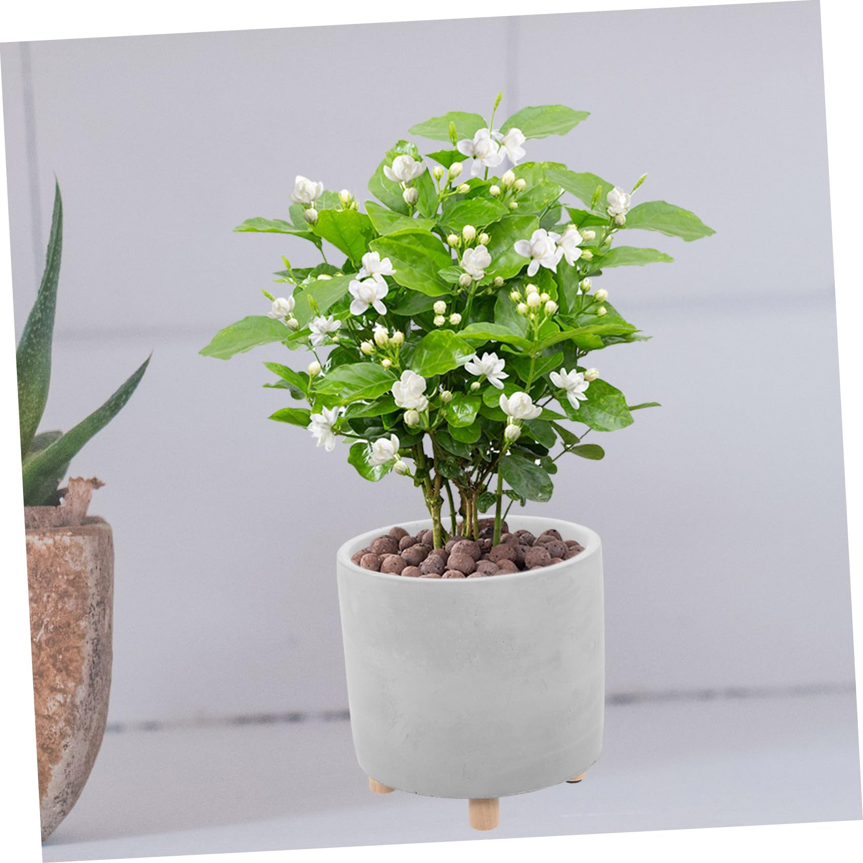 Toyvian Pot de Fleurs Ciment Créatif Jardinière Intérieur pour Plantes Fleurs Maison Bureau Balcon Jardin