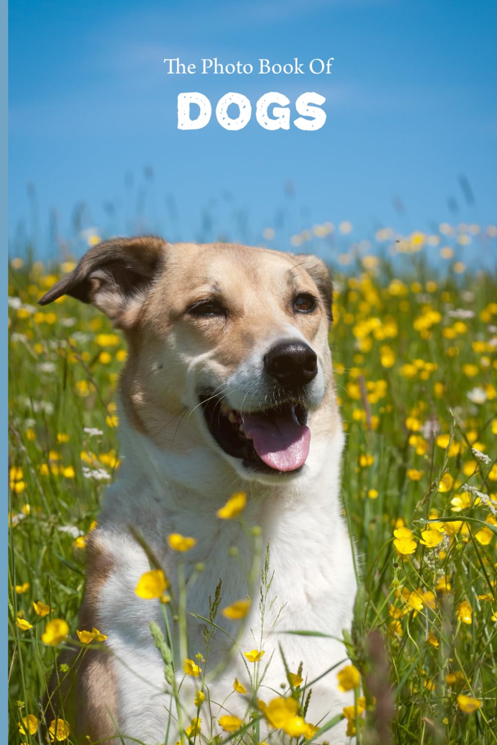 The Photo Book Of Dogs: Beautiful Photographs of Dogs For People Suffering With Alzheimer's Or Other Forms Of Dementia