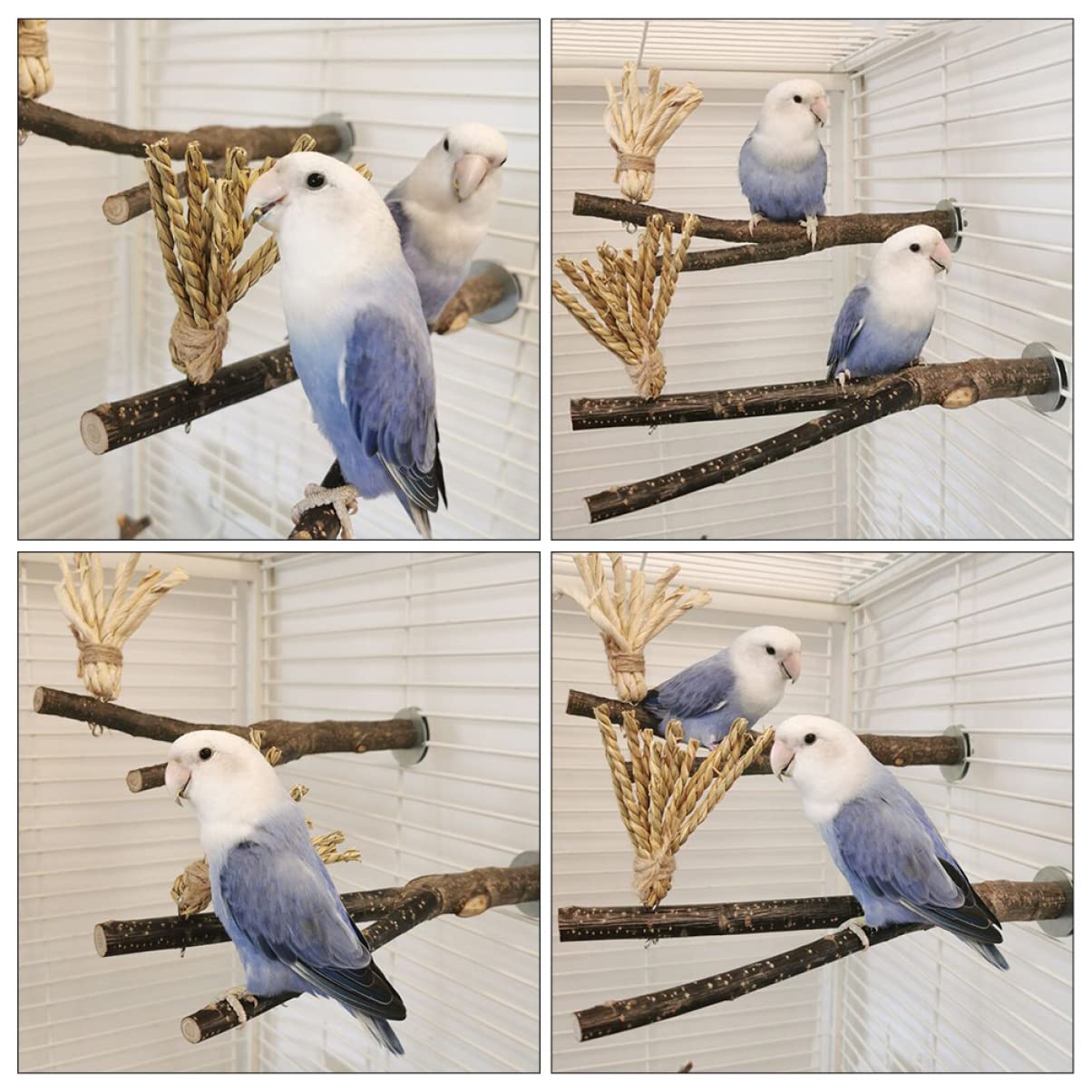 minkissy 5stücke Vogelspielzeug Aus Naturholz Kauspielzeug Für Papageien Und Wellensittiche Mit Natürlichem Astdesign Robust Und - Für Vogelkäfig Zubehör Fördert Spiel Und
