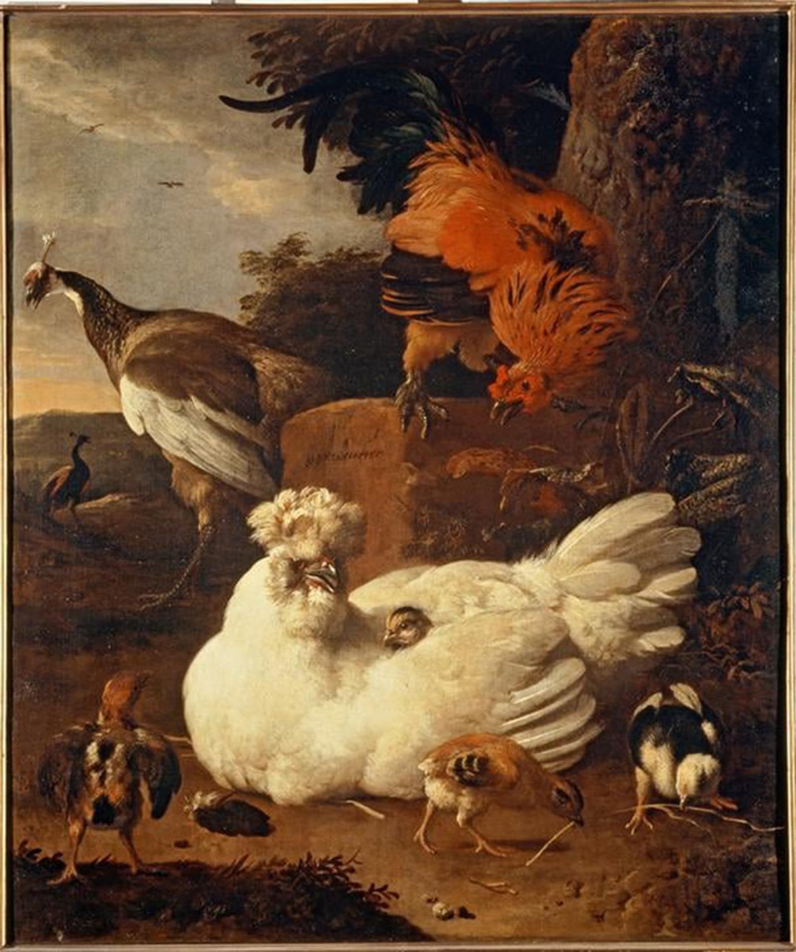 POSTERIIk Vintage Classic Picture Landscape Artwork M De Hondecoeter Ba by Melchior De Hondecoeter Portrait Canvas Painting for Office Home Decor 60x90cm