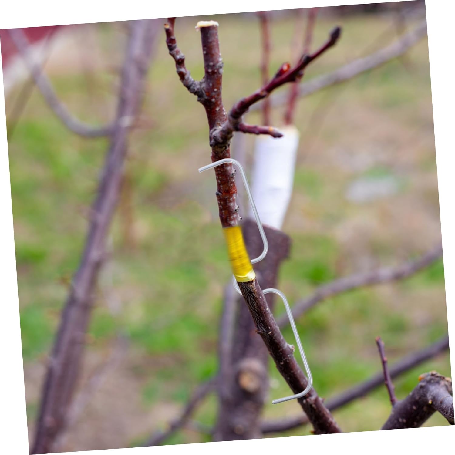 VICASKY 21pcs Fruit Tree Branch Spreader Tying Machine Metal Puller for Branch Shaping Lightweight Shaped Tool for Limbs Easy Installation Farm Tool