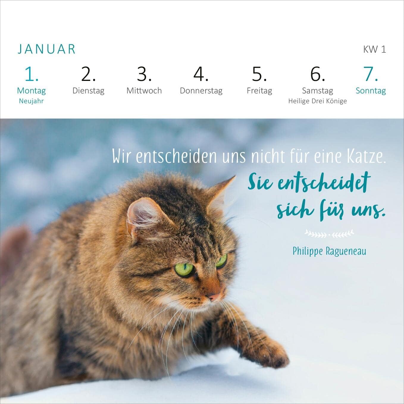 Mini-Wochenkalender Katzenglück 2024