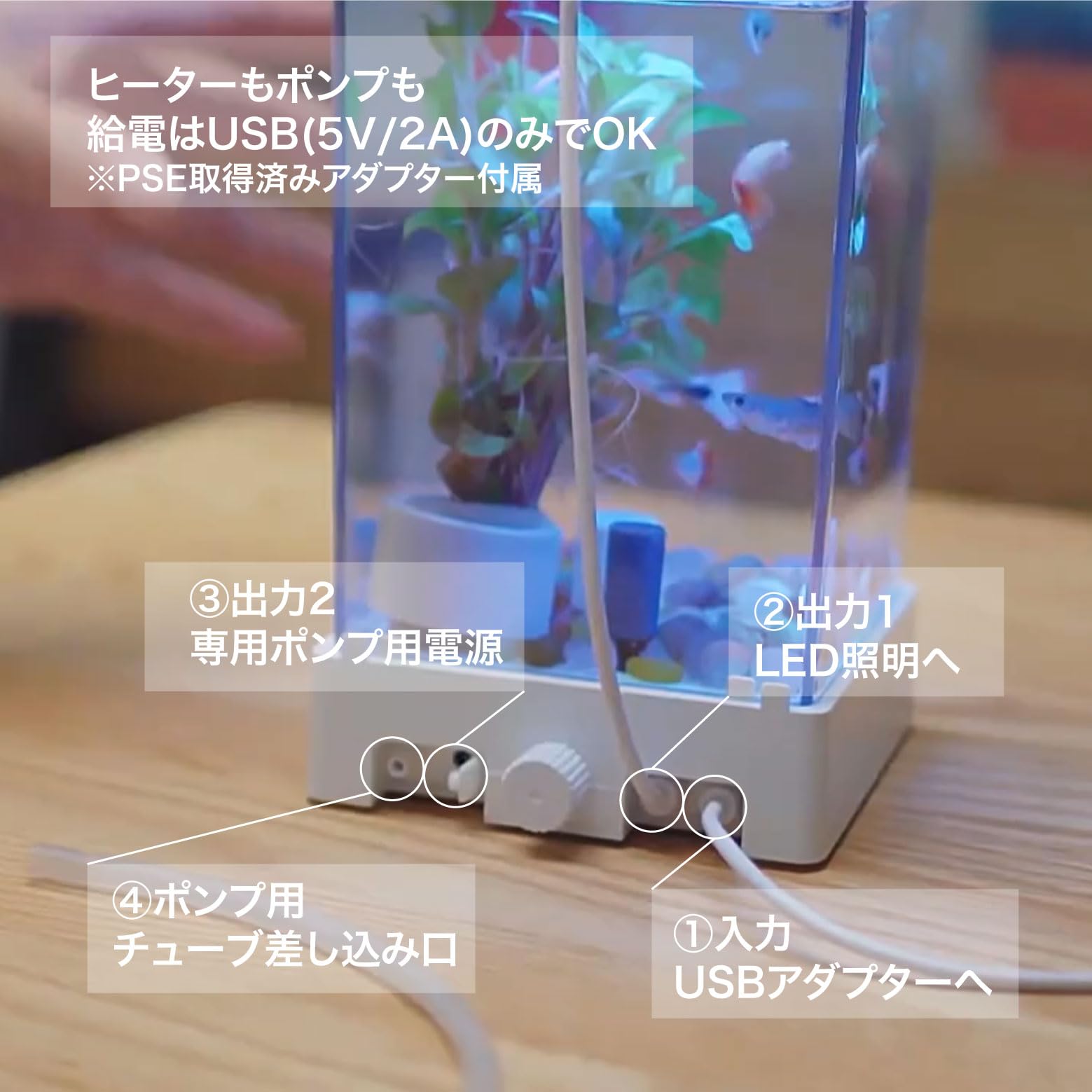 Amazon | 小型ベタ水槽 コンパクト FiSH-α1 1.6L 20-30°C温度設定 酸素