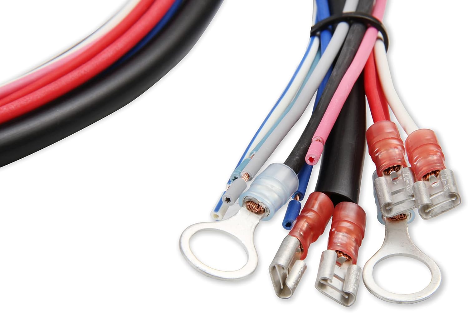 Close-up of MSD 6530 wiring harness terminals
