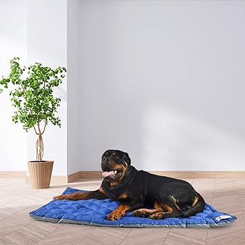 Skipper & Bingo Dog Mat & Cat Mat - Ultra Soft Pet Dog Mat (Azure Blue, Medium)