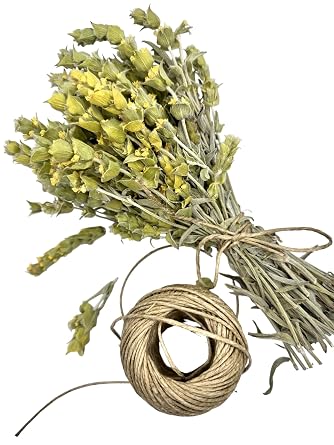 GreekHerbay 100% Organic Greek Mountain Tea Loose Herbal Tea - Sideritis Raeseri 70g - 4.9kg 200, Grams