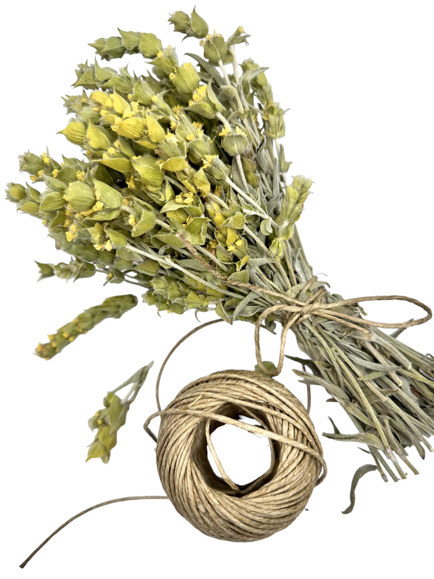 Té de hierbas sueltas de montaña griega, sideritis raeseri, 70 g, 4,9 kg