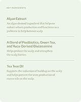 Vista 6 de Divi Hydrating Shampoo for Women and Men - Gently Cleanses and Removes Scalp Buildup - Hydrates, Strengthens, and Nourishes Hair - Vegan