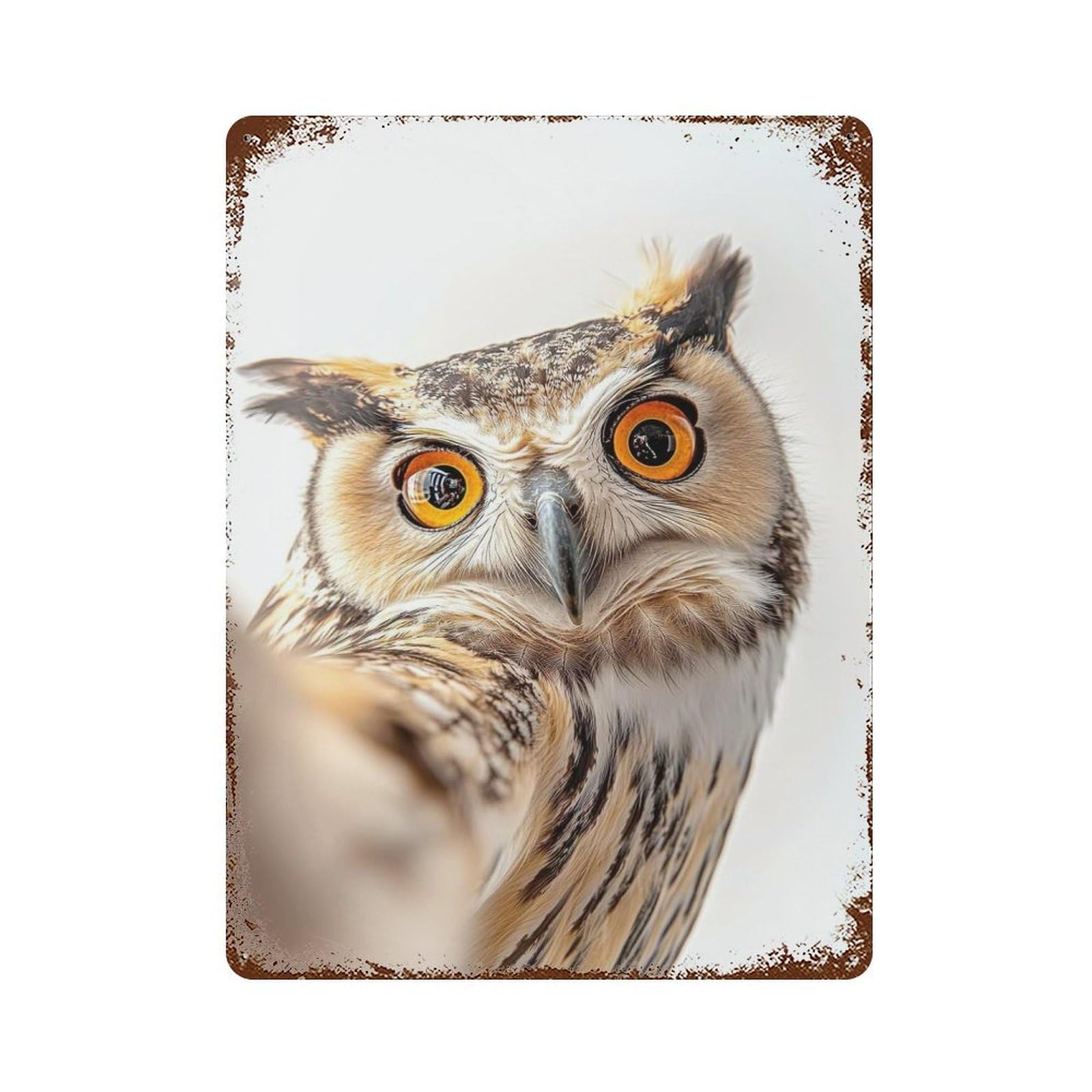 Owl Selfie Vintage Rust Metal Sign 15.7"x11.8", Farmhouse Wall Decor for Garage, Pub Or Kitchen