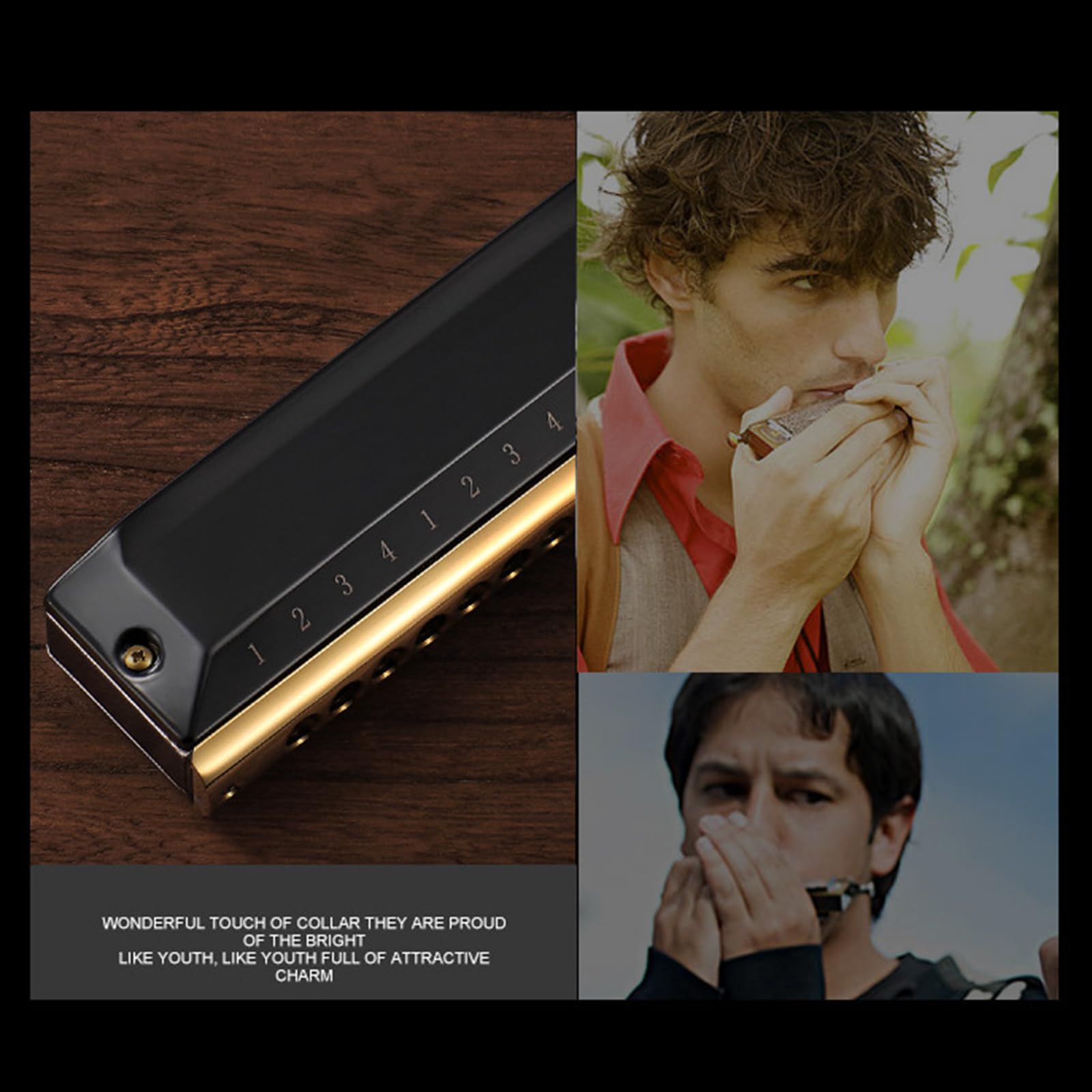Blues Harmonica In C - Armónica diatónica de 12 agujeros, 48 tonos, órgano bucal en C, para adultos principiantes