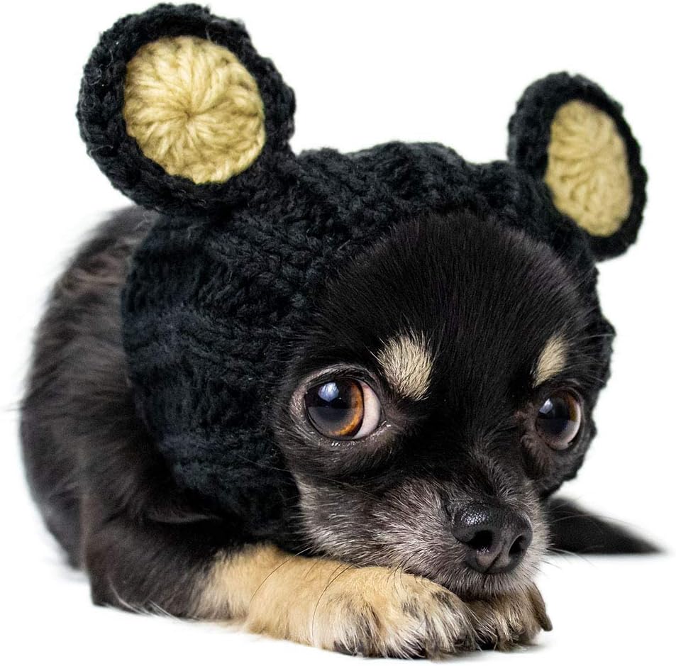 Black bear dog costume Clearance
