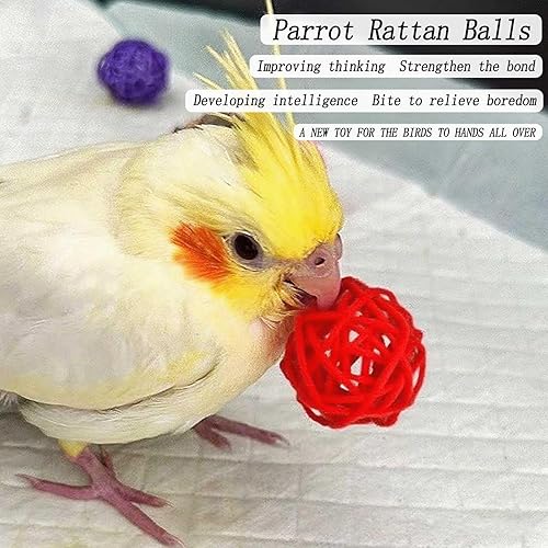 3 Pcs Stainless Steel Bird Food Water Bowls, Parrot Feeding Dish Cups with Clamp Holder Bird Ball Toys for Chinchilla, Cockatiel, Conure, Budgies, Parakeet, Lovebirds, Small Animals (Small)(Small+Medium)