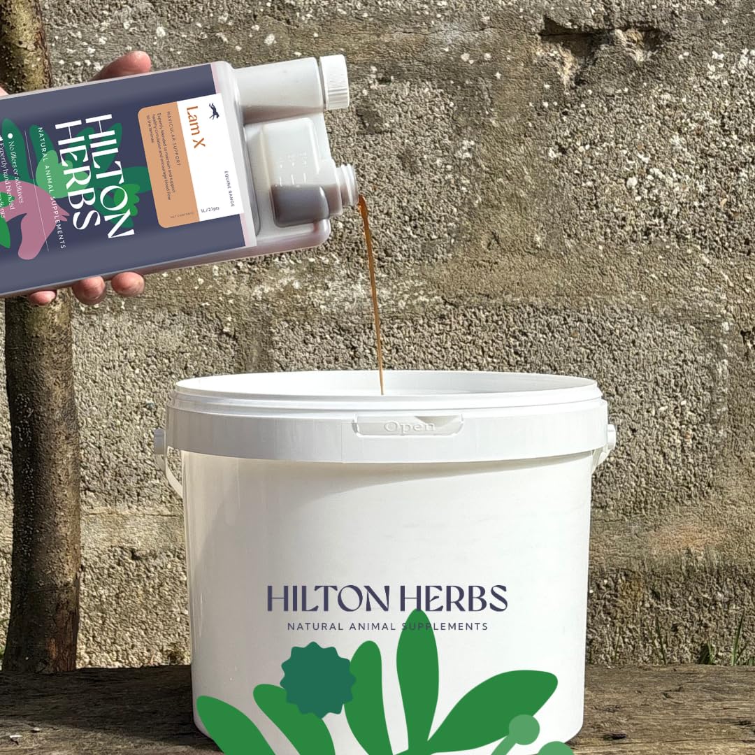 Hilton Herbs NAV-X Gold 1 L Complément Alimentaire Cheval Foubure et Naviculaire