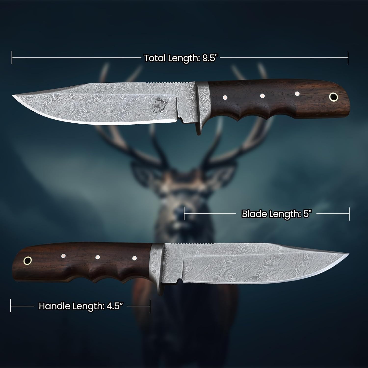 Knives Ranch 9-1/2" Handmade Hunting Knife- Full Tang Damascus Bushcraft Camping Knife- Rosewood Handle-Heavy Duty Leather Sheath (2151-IRW)