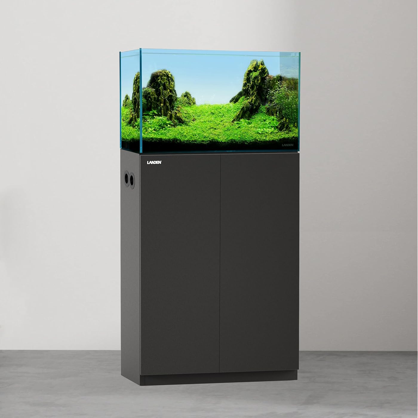 Gallery image 1