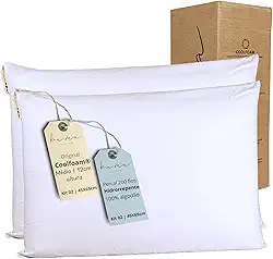 Kama Kit 2 Travesseiros Viscoelásticos Premium Original Coolfoam® - Classic Percal 200 Fios - Médio 12cm, capa hidrorrepelente removível, lavável, hipoalergênico