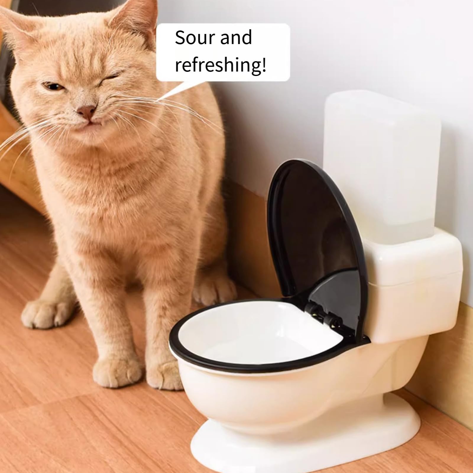 Stazione abbeveraggio automatica per gatti con aspetto | Incoraggia a bere i gatti che vivono in casa, favorisce un consumo sano acqua, mantiene l ' acqua aerata e