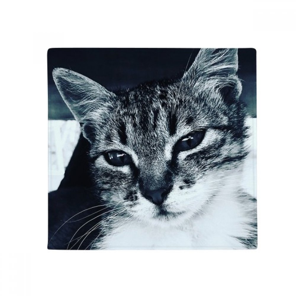 Tapis motif chat gris antidérapant multicolore idée cadeau