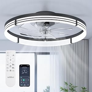 addlon 24" Low Profile Fandelier Ceiling Fans with Lights and Remote, Black