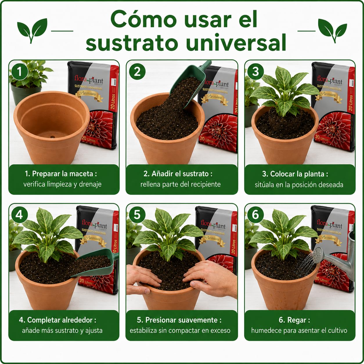 FLORAPL20 Sustrato Universal 20 L, Marrón (4 Unidades)
