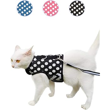 kitty holster cat harness amazon