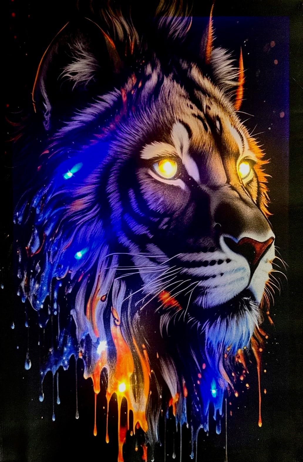Samarkand - Lights LED-Bild mit Beleuchtung LED- Bilder Leinwandbild 65 x 45 cm Leuchtbild LÖWE/COLOR/TIERE/LION Wandbild